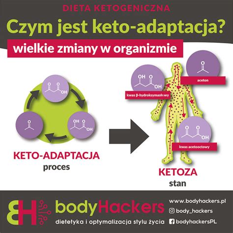 Keto adaptacja - 