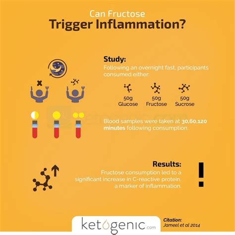 Keto and Inflammation: Here’s the Scoop on Keto and …