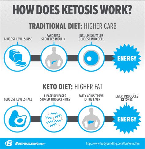 Nov 29, 2022 · At Diet Doctor, we define keto and low carb diets by the following: Keto: Less than 20 grams of net carbs per day. Moderate low carb: Between 20 and 50 grams of net carbs per day. Liberal low carb: Between 50 and 100 grams of net carbs per day. On a keto diet, carbohydrates are minimized to achieve ketosis. . 