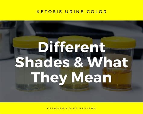 Keto urine smell. Oct 30, 2020 · The 4 Different Shades Of Keto Urine. 1. Clean Urine. Some people become concerned because their pee is no longer yellow; it loses its color and becomes clear as water. This is the least worrying of all ketosis symptoms. Urine color is likely to change while on the low-carb diet, and clear pee is one of the most common symptoms. 