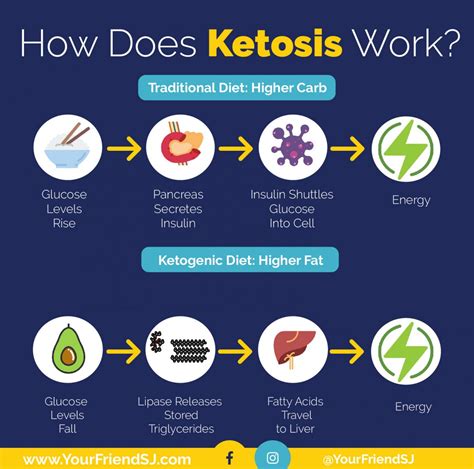 Ketosis Definition & Meaning - Merriam-Webster