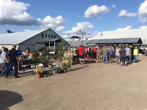  · Do you have a local sale barn ? Silkies and