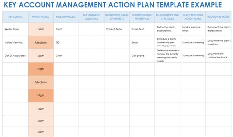 Key Account Management Template PDF Template