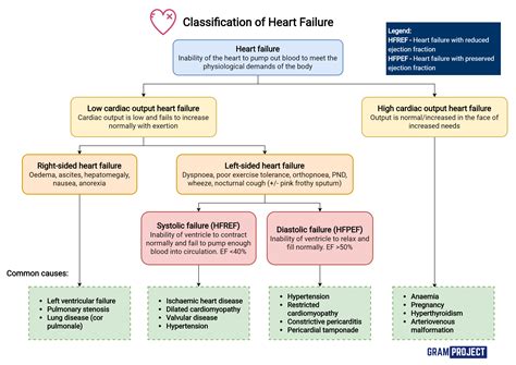 Key Differences Found in Heart Failure Types Cedars Sinai