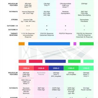 Key characteristics of CMS and CRIS subtypes and their inter ...