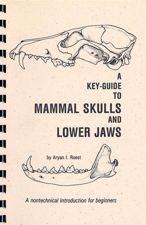Key guide to mammal skulls and lower jaws. - Excel 2007 guide making best fit line graph.