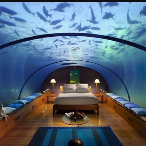 Key largo underwater hotel. Jan 24, 2023 · The 370-room hotel includes two underwater levels holding a restaurant and guest rooms. There is an artificial waterfall on site and guests are encouraged to partake in water sports in the hotel's large sports center. All images via the respective hotels. This article has been edited and updated. Related Articles: 