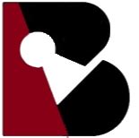 KeyBiz Solutions.