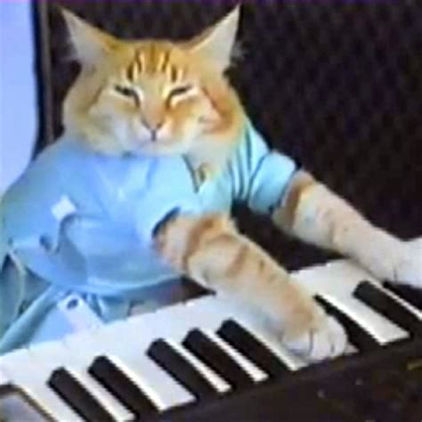 Keyboard cat. Keyboard Cat discography and songs: Music profile for Keyboard Cat. Genres: Novelty, Synthpop. Albums include Greatest Hits (Play Me Off), Charlie Schmidt's ... 