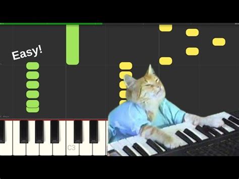 Keyboard cat piano tutorial