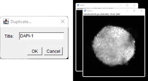 Keyboard shortcuts - ImageJ