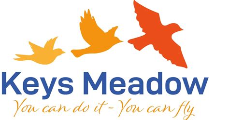 Keys Meadow Primary - Facebook