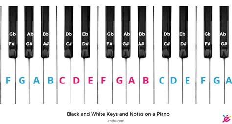 Keys on a piano keyboard labeled. The name of the white key to the immediate left of the group of two black keys on the keyboard is: B C F C The pitch letter names correspond to: Select one: The white keys on a piano keyboard Alternate white and black keys on a piano keyboard The black keys on a piano keyboard The white and black keys on a piano keyboard 