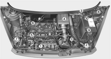 Kia picanto 2006 manuale del motore. - 1992 1995 hyundai elantra service repair workshop manual download 1992 1993 1994 1995.