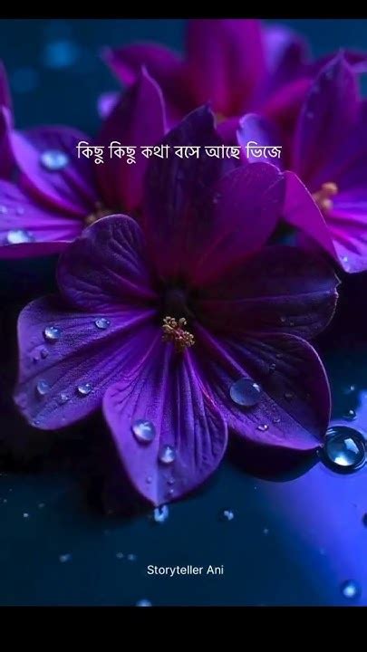 Kichu achi sexy videos. .  <a href=https://display.araboringen.nl/assets/images/...