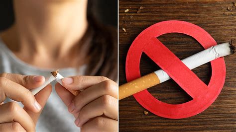 Kick the Habit with Tobacco Gum: Your Path to a Smoke-Free Life