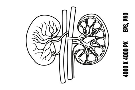 Coloring Pages Flower Bouquet