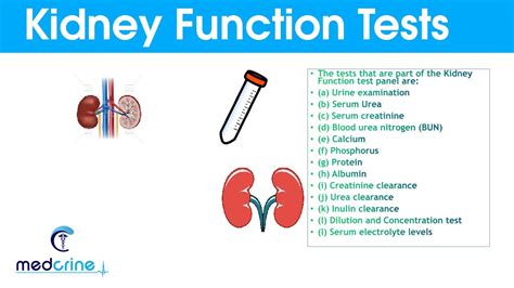 Kidney Function Tests and Interpretation of Results. YouTube