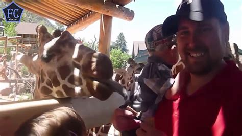 Kids At The Zoo New Compilation 2016 - Funny Babies At The Zoo