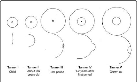 Kids develop tits young. .  Changes also occur to the breasts during menstrua...