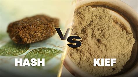 Kief vs. hash: What