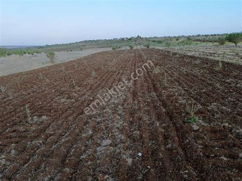 Kilis Merkez Oylum Mahallesi terapi halı yıkama