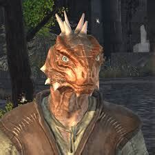 Argonian. Argonians are a reptilian race from Black Marsh. They can breathe under water indefinitely and have a natural resistance to disease. Argonians also have Histskin which lets them rapidly .... 
