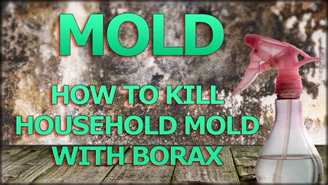 Kill mold. How To Get Rid Of Mold On Walls With Borax · Step 1: Add 1 cup of borax to 1 gal of warm water · Step 2: Apply the solution to the moldy area using a spray ... 