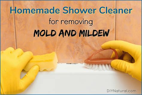 Kill mold in shower. Scrubbing pad. Mix the water, vinegar, and oil in the spray bottle. Apply the solution to all areas that need cleaning. Let it sit for at least five minutes, and then scrub, rinse with hot water, and dry. To keep your shower mold-free, spray your shower walls and shower curtain with the solution every day. 