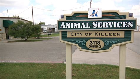 Killeen animal control. Sep 15, 2023. A dog was fatally shot by a Killeen police officer after the dog attacked and bit a city animal control officer, police said Friday. The incident happened in north Killeen in the 900 ... 