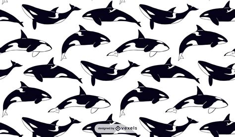 Killer Whale Pattern Design Vector Download