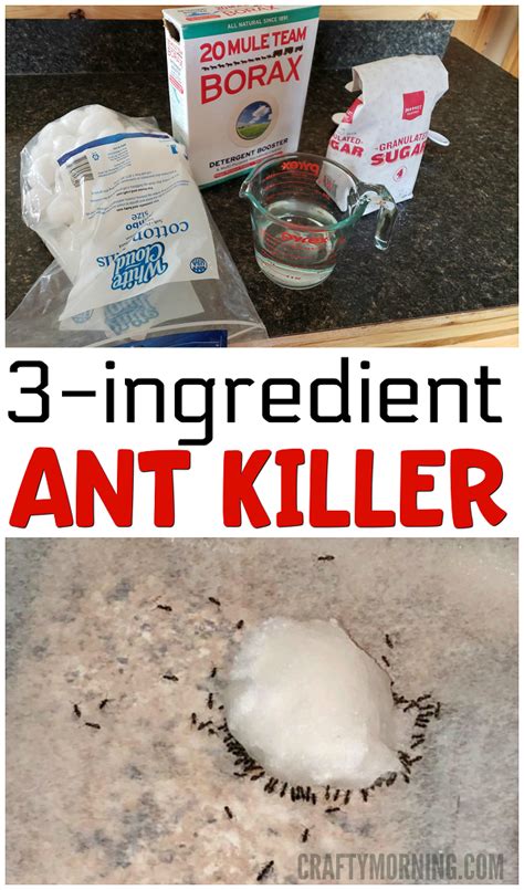 Killing ants with borax recipe. 