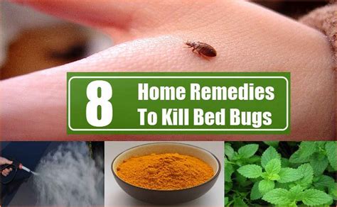 Killing bed bugs. Things To Know About Killing bed bugs. 