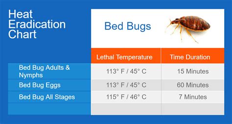 Killing bed bugs with heat. Key Takeaway: Killing bed bugs with heat is an effective and safe way to get rid of them. To do this, the temperature should be between 120°F – 140°F (49°C – 60°C). When using heat treatment, make sure to cover every inch of the affected area and wear protective gear when handling high-temperature equipment. Tips for killing bed bugs ... 