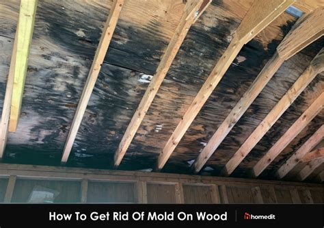 Killing mold on wood. First, clean the area with a mild dish soap and water using a sponge and gentle pressure. In a spray bottle, mix equal parts of white vinegar and water. Apply … 
