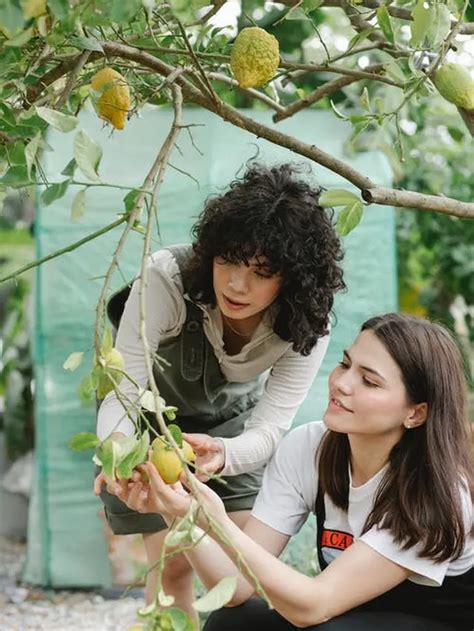 Kim hongkong keluaran malam ini. Mimpi memetik buah mangga.
