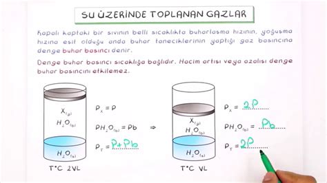 Kimya 11 sınıf gazlar