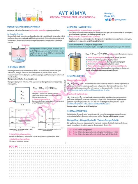 codini.rgarabwor.edu.pl. 