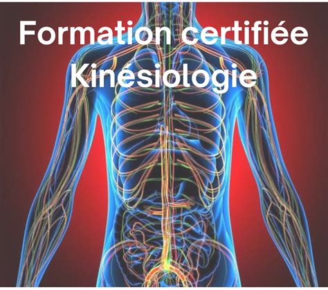 Kinésiologie formation reconnue