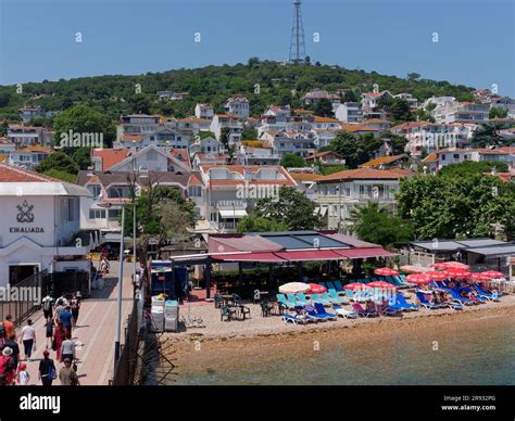 Kinaliada Halı ve Koltuk Yıkama