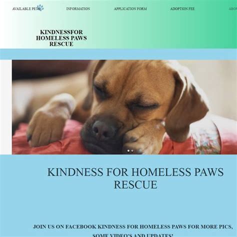 Kindness For Homeless Paw