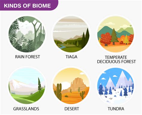 (1) Biomes. The large biosphere is divided into large parts of biomes. Scientists classified biomes into five different types: tundra, grassland, forests, deserts, and aquatic biomes. Rivers, lakes, seas, oceans, and other aqueous habitats are inhabited by a large diversity of plants and animals.. 