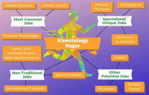 Kinesiology careers. Careers in Kinesiology Potential types of employers. colleges and universities; community organizations; corporate health centers; ... Career opportunities with an advanced or graduate degree. A kinesiology degree provides excellent preparation for both graduate school and professional programs. 
