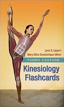 Full Download Kinesiology Flashcards By Lynn S Lippert Pt Ms