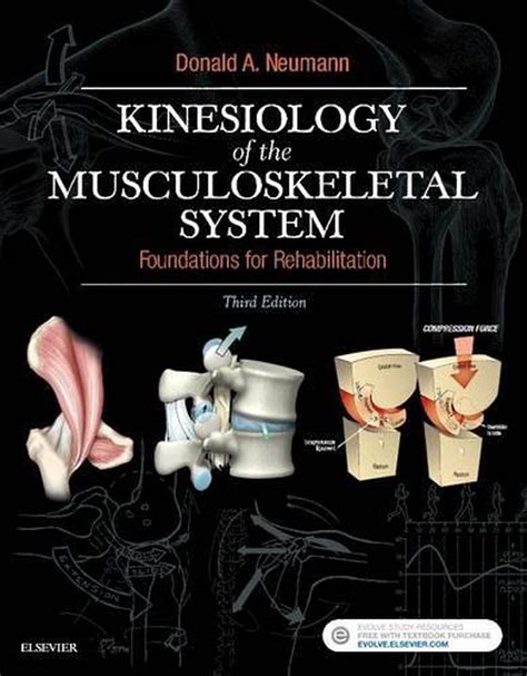 Read Online Kinesiology Of The Musculoskeletal System Foundations For Rehabilitation By Donald A Neumann