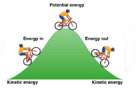 Kinetic and Gravitational Potential Energy Quiz - Quizizz