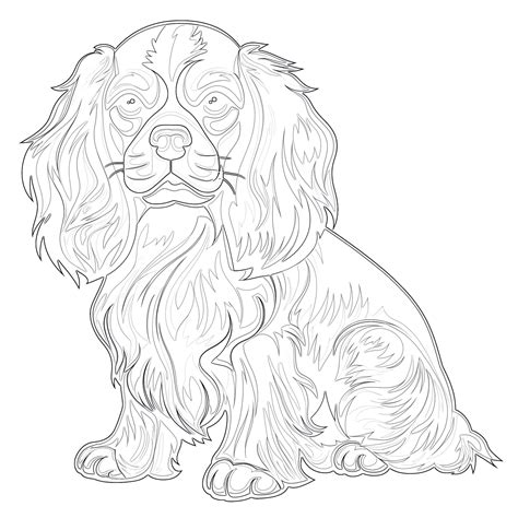 King Charles Spaniel Coloring Pages