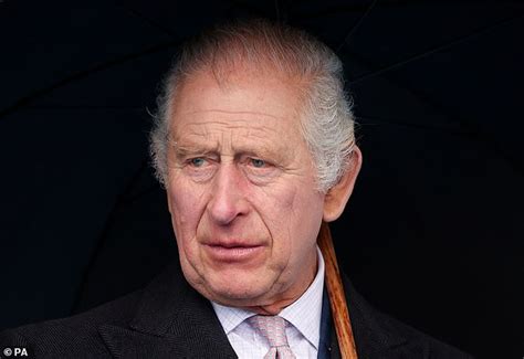 King Charles should apologise for royal family