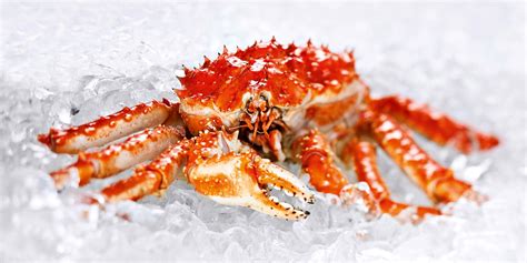 King Crab Hurtigruten Norwegian Coastal Express