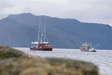 King salmon season back on in Alaska after federal appeals court lets fishery open July 1